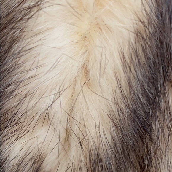 Paul Jentner fitch fur coat - Picture 5 of 5